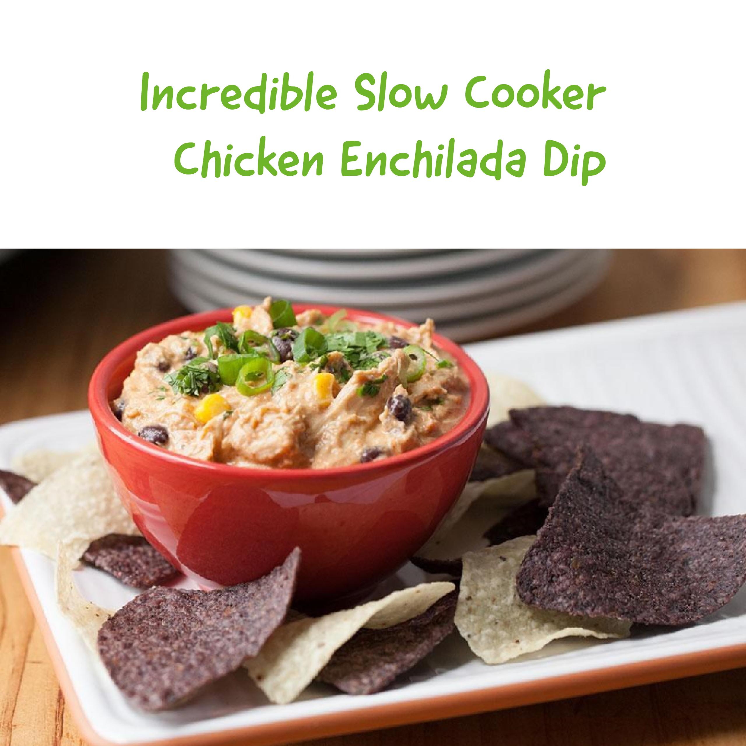 Incredible Slow Cooker Chicken Enchilada Dip