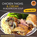 Chicken Tighs and Cream of Mushroom Soup SlowCookerSociety1