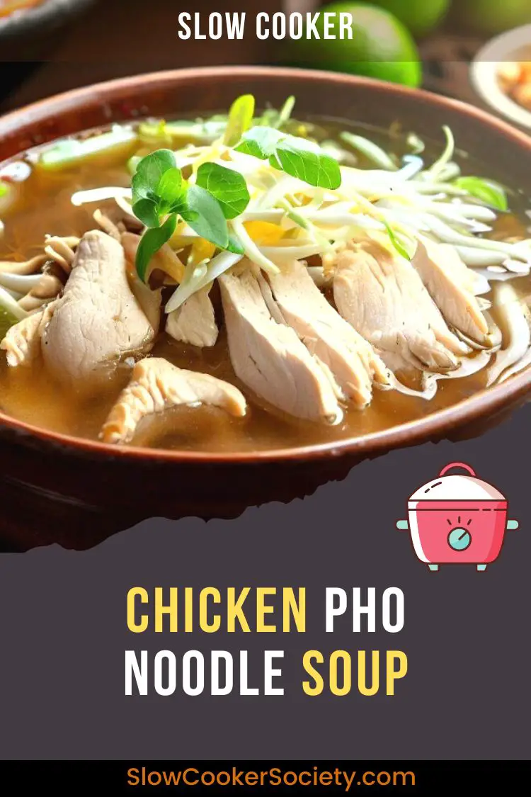 What a Delicious Crock Pot Chicken Pho Recipe