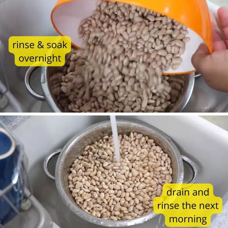 Rinse and soak Pinto Beans Ingredients