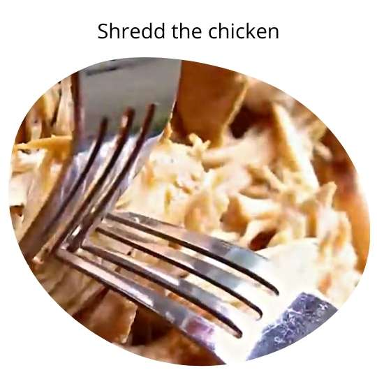 Shred chicken with 2 forks