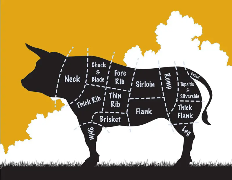 Beef cuts diagram